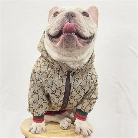 ropa para perros gucci|gucci designer dog clothing.